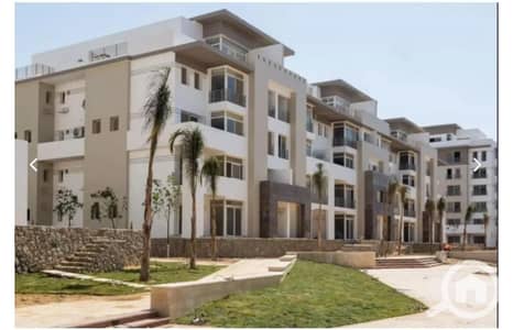 2 Bedroom Flat for Sale in New Cairo, Cairo - 1312x894 (1). jpg 2 Bedroom Flat for Sale in New Cairo, Cairo - 1312x894 (1). jpg