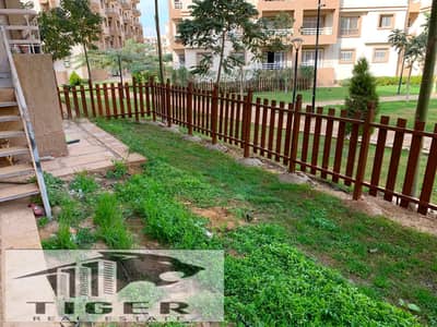 3 Bedroom Apartment for Rent in Madinaty, Cairo - 235881. jpg