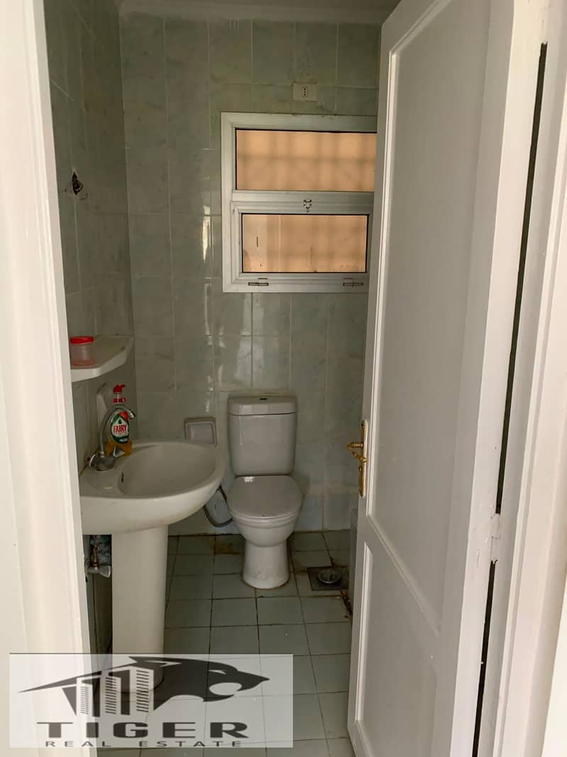 4 235878. jpg
