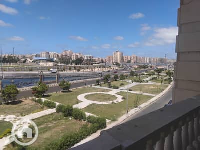 2 Bedroom Flat for Sale in Smoha, Alexandria - efd7e5cf-9afa-4efb-a7b0-048c7ce6c112. jpg 2 Bedroom Flat for Sale in Smoha, Alexandria - efd7e5cf-9afa-4efb-a7b0-048c7ce6c112. jpg