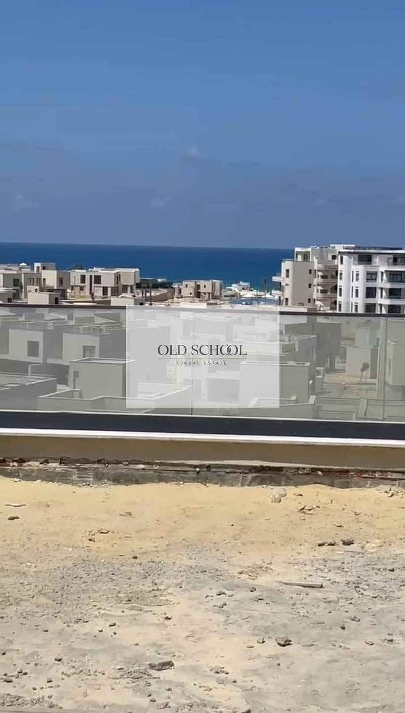 8 118793. jpg