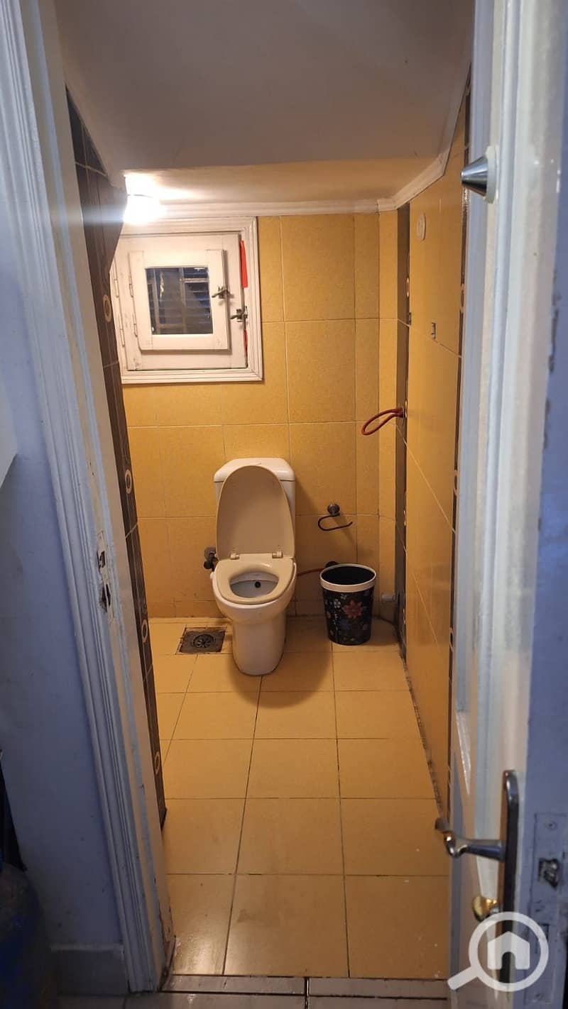 36 334550. jpg