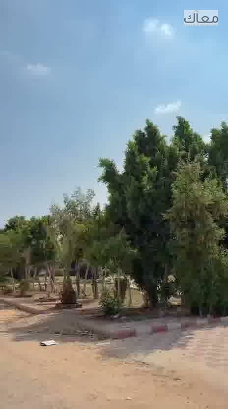 8 ezgif-frame-055. jpg