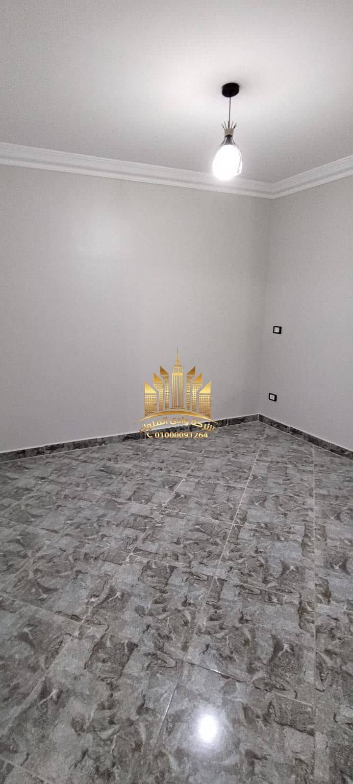 8 251738. jpg