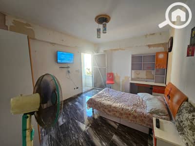 3 Bedroom Flat for Rent in Mandara, Alexandria - 20260821_160258. jpg 3 Bedroom Flat for Rent in Mandara, Alexandria - 20260821_160258. jpg