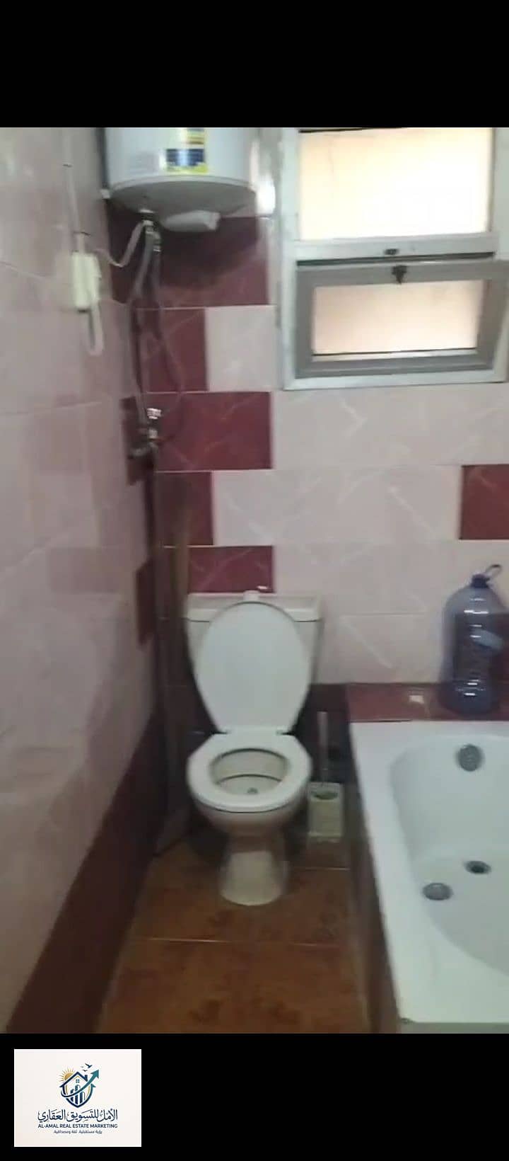 7 1000258919. jpg
