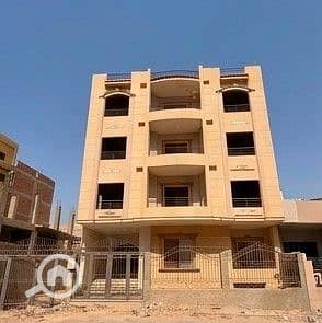 2 جاردينيا 113 ح -2. jpeg