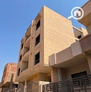 3 جاردينيا 113 ح -3. jpeg