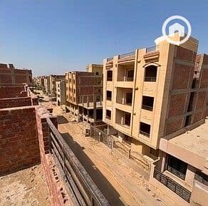5 جاردينيا 113 ح -12. jpeg