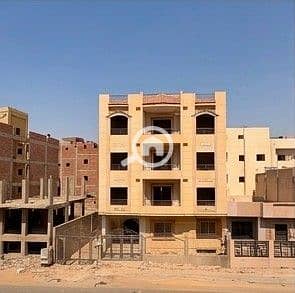 8 جاردينيا 113 ح -5. jpeg