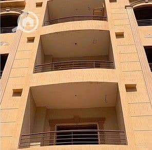 10 جاردينيا 113 ح -7. jpeg