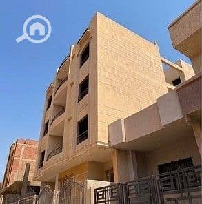 2 جاردينيا 113 ح -3. jpeg