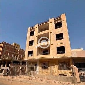 5 جاردينيا 113 ح -9. jpeg