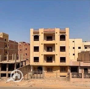 8 جاردينيا 113 ح -5. jpeg