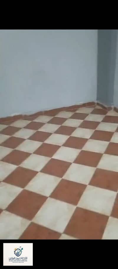 2 Bedroom Flat for Rent in Maadi, Cairo - 1000259046. jpg 2 Bedroom Flat for Rent in Maadi, Cairo - 1000259046. jpg
