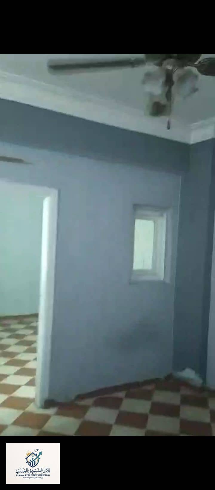 4 1000259034. jpg