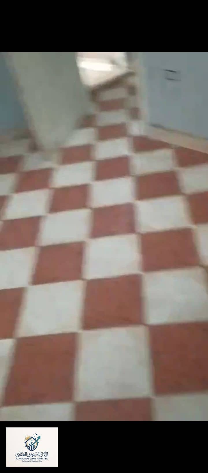 7 1000259078. jpg