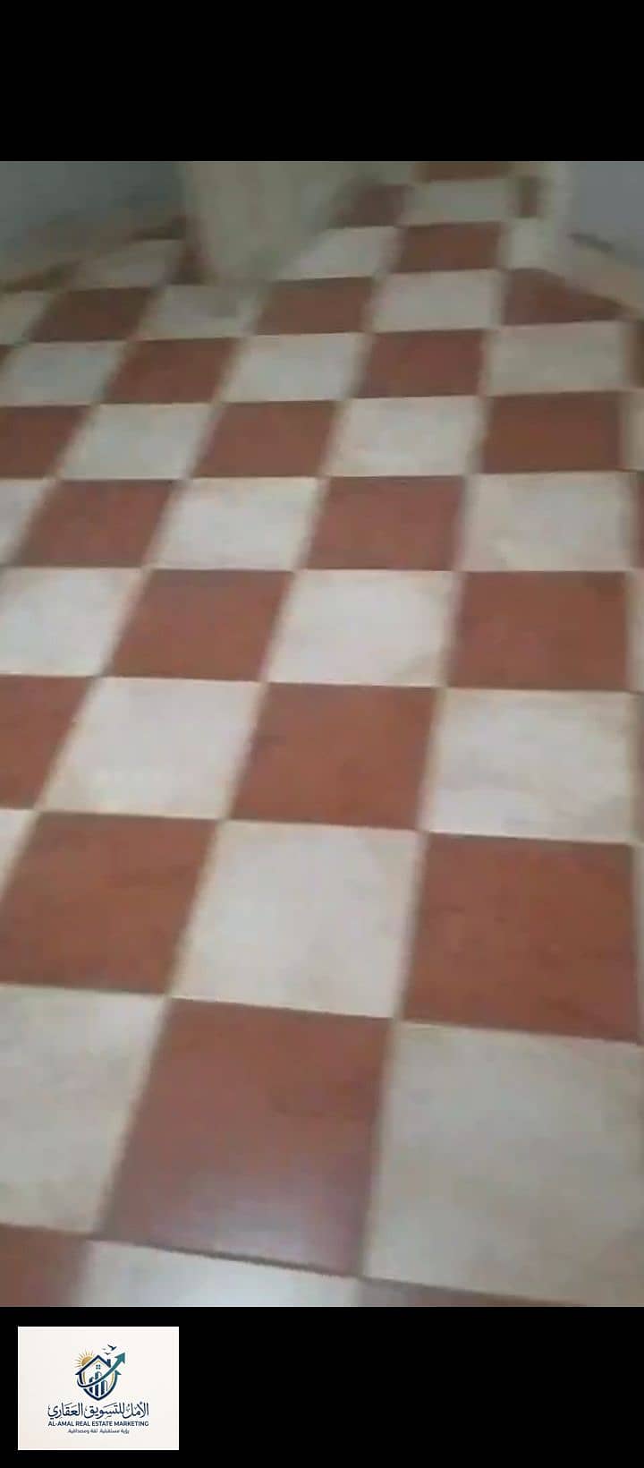 8 1000259077. jpg