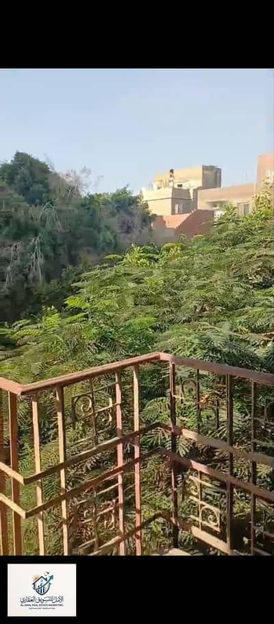 3 Bedroom Flat for Rent in Maadi, Cairo - 1000259175. jpg 3 Bedroom Flat for Rent in Maadi, Cairo - 1000259175. jpg