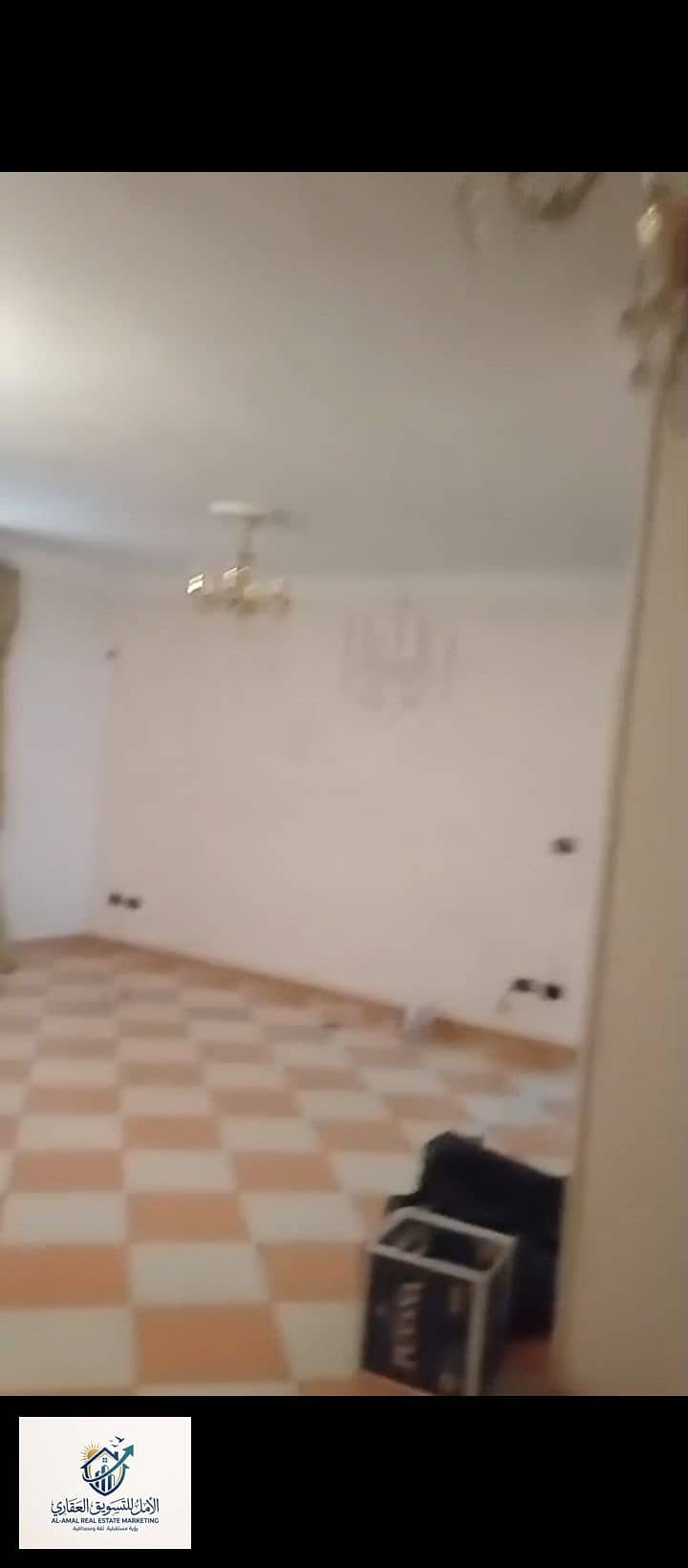 6 1000259122. jpg