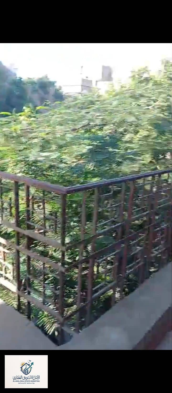 15 1000259171. jpg