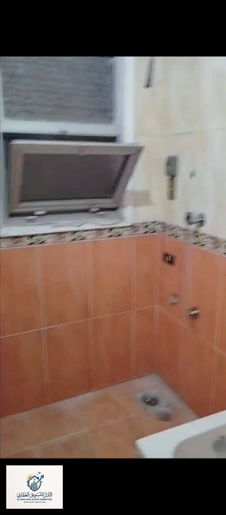 4 1000259209. jpg