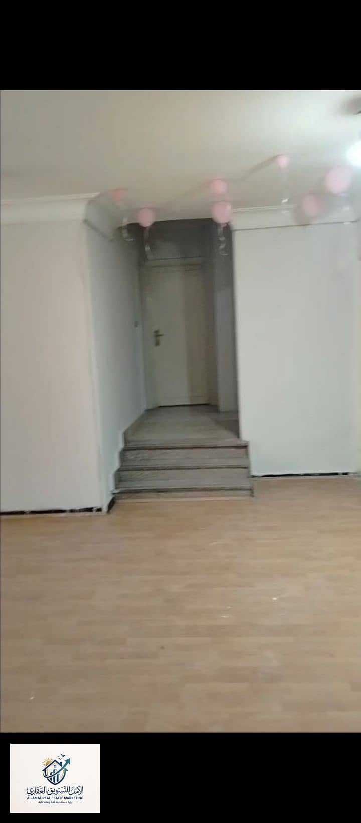 5 1000259194. jpg