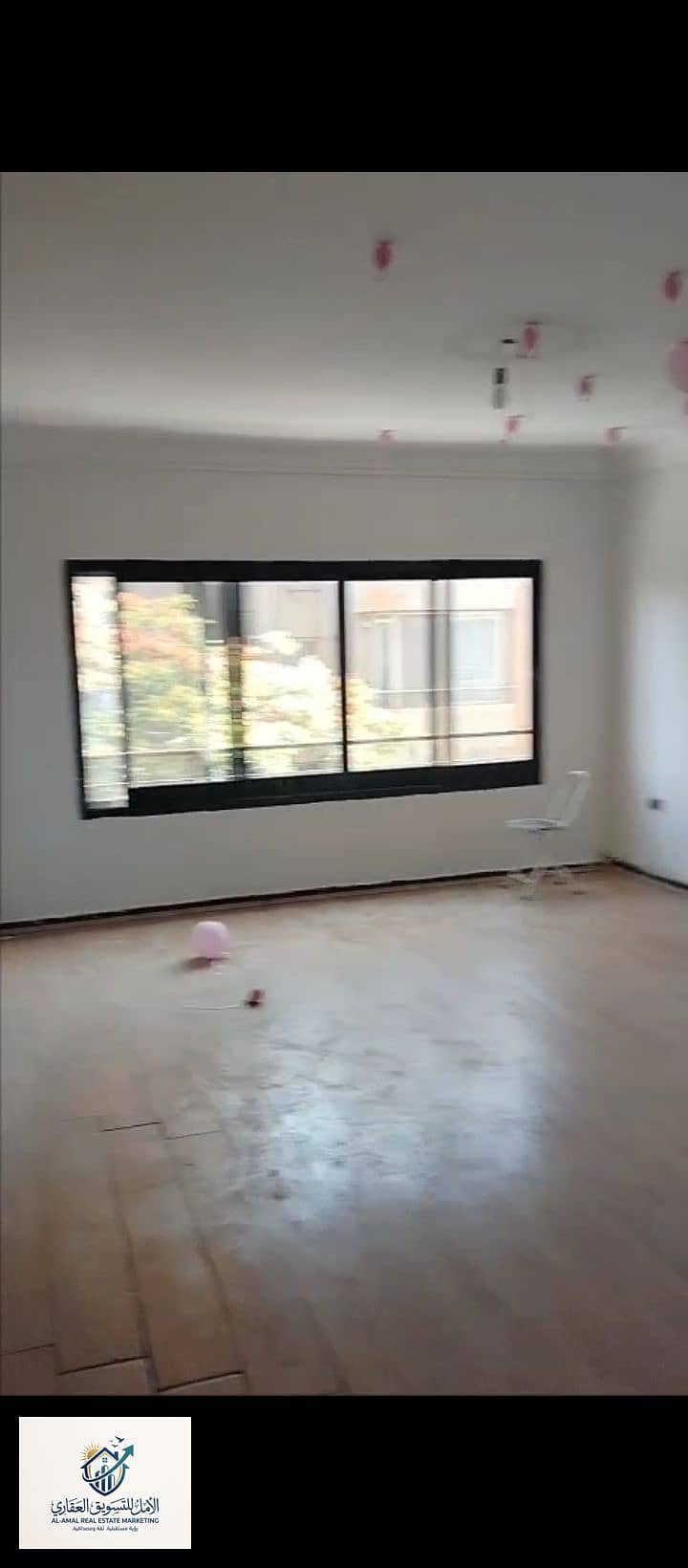 7 1000259196. jpg