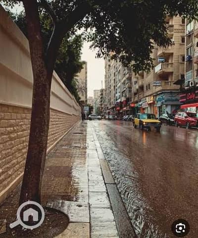 عيادة للايجار في لوران، الإسكندرية - 1000365631. jpg عيادة للايجار في لوران، الإسكندرية - 1000365631. jpg
