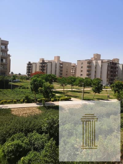 3 Bedroom Flat for Sale in Madinaty, Cairo - WhatsApp Image 2026-08-24 at 12.05. 12 PM. jpeg