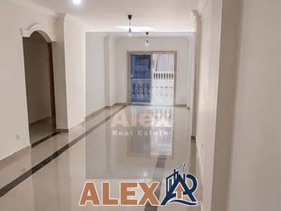 شقة 3 غرف نوم للايجار في وابور المياة، الإسكندرية - WhatsApp Image 2026-08-24 at 12.02. 35 PM (3). jpeg شقة 3 غرف نوم للايجار في وابور المياة، الإسكندرية - WhatsApp Image 2026-08-24 at 12.02. 35 PM (3). jpeg