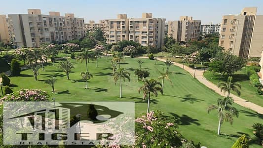 4 Bedroom Flat for Rent in Madinaty, Cairo - 52821. jpg