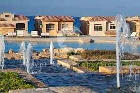 8 images. jpg