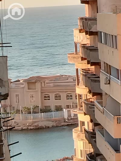 3 Bedroom Flat for Sale in Miami, Alexandria - WhatsApp Image 2026-08-23 at 2.33. 59 PM. jpeg