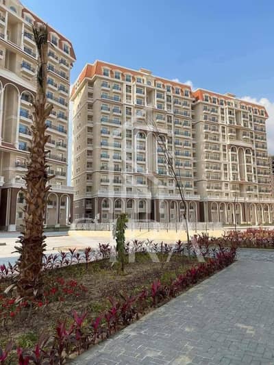 2 Bedroom Apartment for Sale in Moharam Bik, Alexandria - FB_IMG_1787487248685. jpg 2 Bedroom Apartment for Sale in Moharam Bik, Alexandria - FB_IMG_1787487248685. jpg
