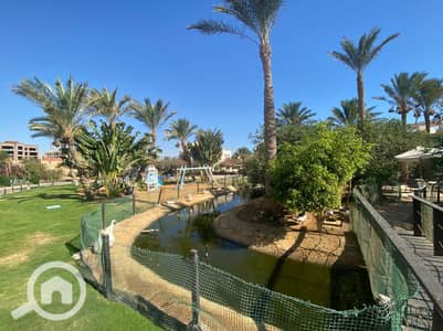 2 Bedroom Chalet for Sale in Ain Sukhna, Suez - WhatsApp Image 2026-06-14 at 1.21. 52 PM (4). jpeg
