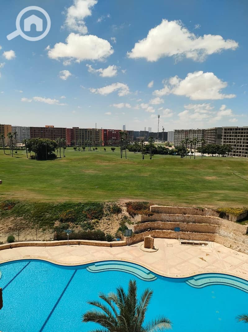 4 156 golf vib 2. jpeg