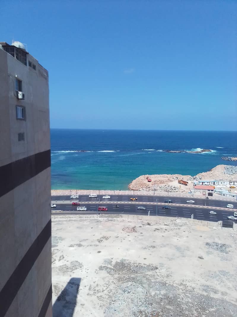 شقه للبيع بخالد ابن الوليد العمومى أمام فندق الهيلتون شقه للبيع بخالد ابن الوليد العمومى أمام فندق الهيلتون