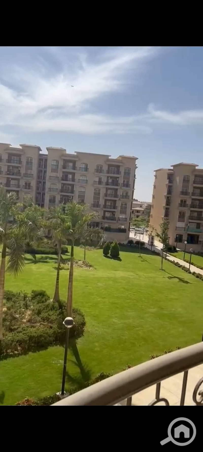 6 3148. jpg