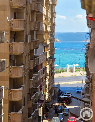 شقة 3 غرف نوم للبيع في المندرة، الإسكندرية - 20260821_150056(1). jpg شقة 3 غرف نوم للبيع في المندرة، الإسكندرية - 20260821_150056(1). jpg