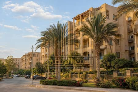 غرفة 1 غرفة نوم للايجار في القاهرة الجديدة، القاهرة - ChatGPT Image 24 أغسطس 2026، 03_21_25 م. png غرفة 1 غرفة نوم للايجار في القاهرة الجديدة، القاهرة - ChatGPT Image 24 أغسطس 2026، 03_21_25 م. png