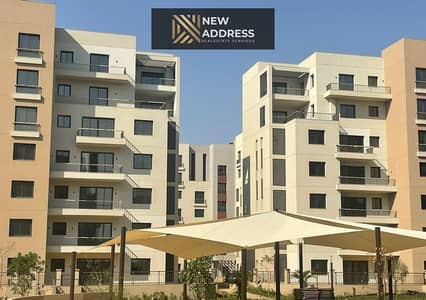 4 Bedroom Townhouse for Sale in New Cairo, Cairo - 3a77bd58-711a-4683-a4aa-dee98cdb60fb. jpg 4 Bedroom Townhouse for Sale in New Cairo, Cairo - 3a77bd58-711a-4683-a4aa-dee98cdb60fb. jpg