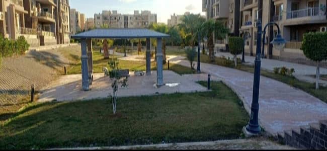 3 Bedroom Apartment for Rent in Sheikh Zayed, Giza - WhatsApp Image 2026-08-24 at 2.34. 23 PM (2). jpg 3 Bedroom Apartment for Rent in Sheikh Zayed, Giza - WhatsApp Image 2026-08-24 at 2.34. 23 PM (2). jpg