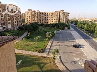 4 Bedroom Flat for Sale in Madinaty, Cairo - a18880ef-9776-44a7-91e5-8eefb6b7d4f3. jpg 4 Bedroom Flat for Sale in Madinaty, Cairo - a18880ef-9776-44a7-91e5-8eefb6b7d4f3. jpg