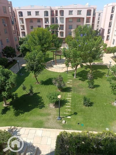 3 Bedroom Apartment for Rent in New Cairo, Cairo - WhatsApp Image 2026-08-24 at 1.35. 09 PM (1). jpeg
