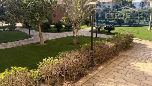 شقة 2 غرفة نوم للايجار في مدينتي، القاهرة - 6faddb34-af31-479b-ad42-6a1b57458354. jpg شقة 2 غرفة نوم للايجار في مدينتي، القاهرة - 6faddb34-af31-479b-ad42-6a1b57458354. jpg