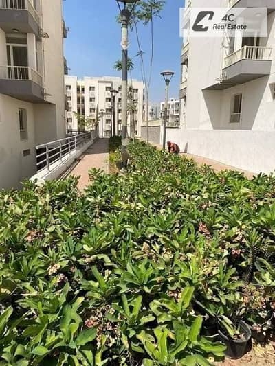 3 Bedroom Apartment for Sale in New Cairo, Cairo - WhatsApp Image 2026-08-07 at 5.02. 15 PM (1). jpeg