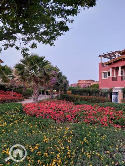 3 Bedroom Apartment for Sale in New Cairo, Cairo - 68358. jpg