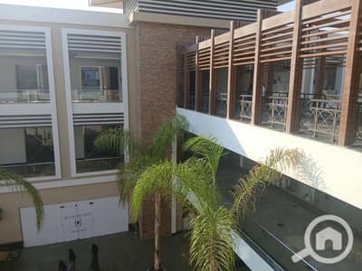 Medical Facility for Rent in Madinaty, Cairo - WhatsApp Image 2026-08-24 at 5.39. 17 PM. jpeg
