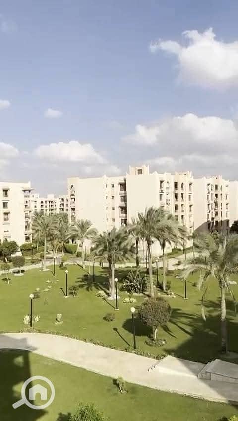 8 2960. jpg